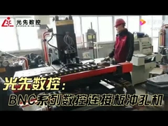 Plate Drilling Machine original